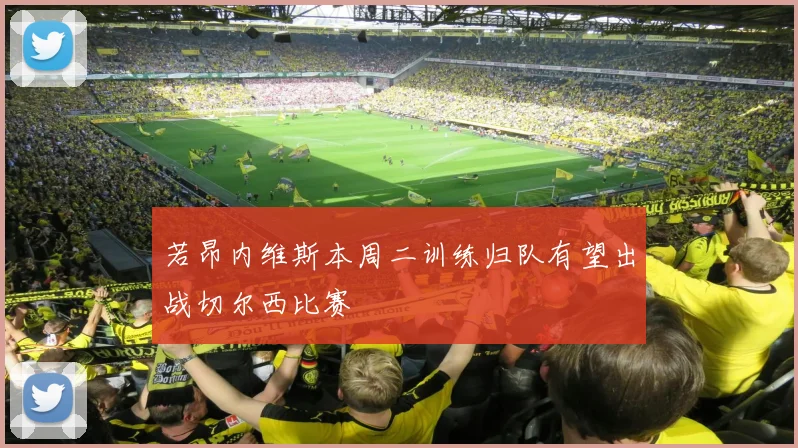 若昂内维斯本周二训练归队有望出战切尔西比赛